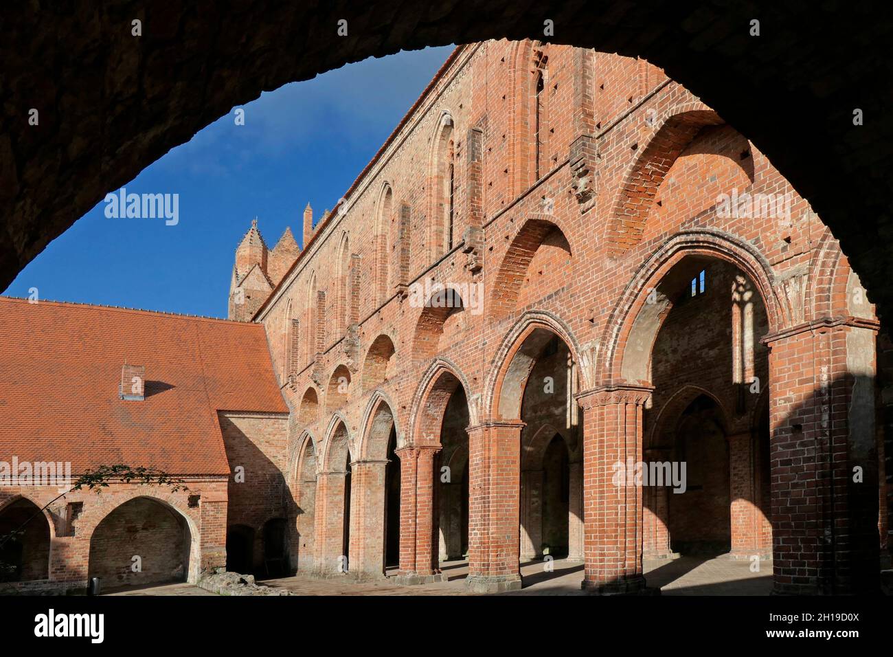 Kloster Chorin, Hauptschiff der Klosterkirche, Landkreis Barnim, Brandeburgo Foto Stock