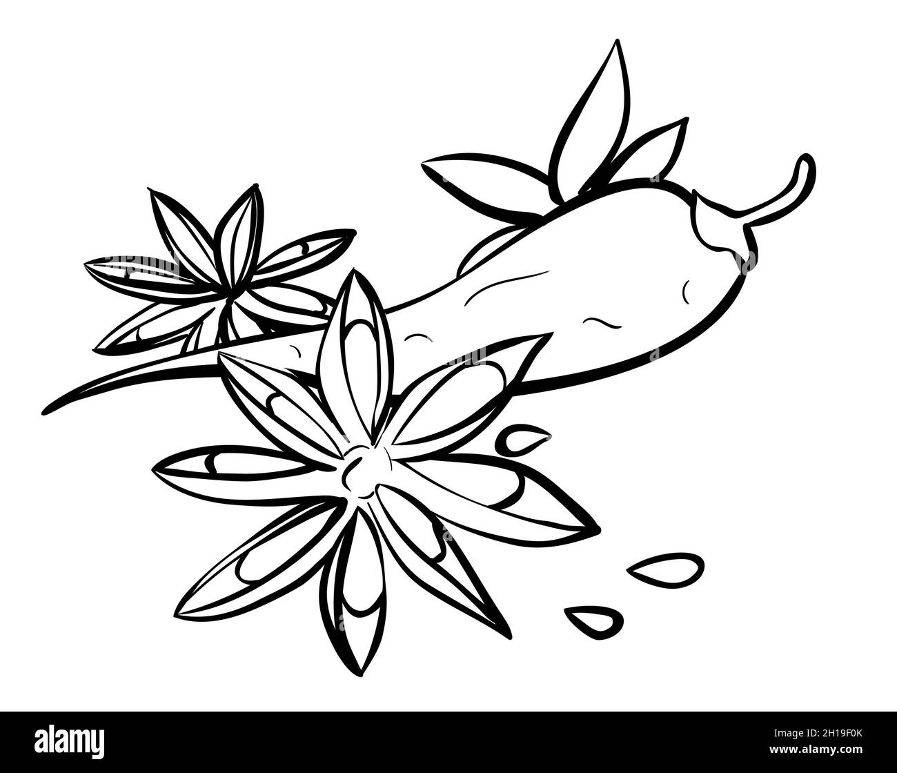 Stella di anice e peperoncino spezie illustrazione lineare. Aromatizzazione, condimento. Simbolo del contorno. Vettore isolato contorno doodle. Illustrazione Vettoriale