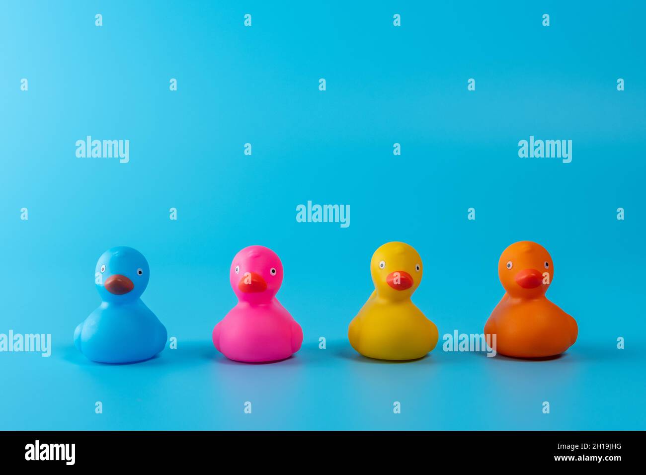Anatre colorate in gomma su sfondo blu. Concetto minimale estivo. Foto Stock