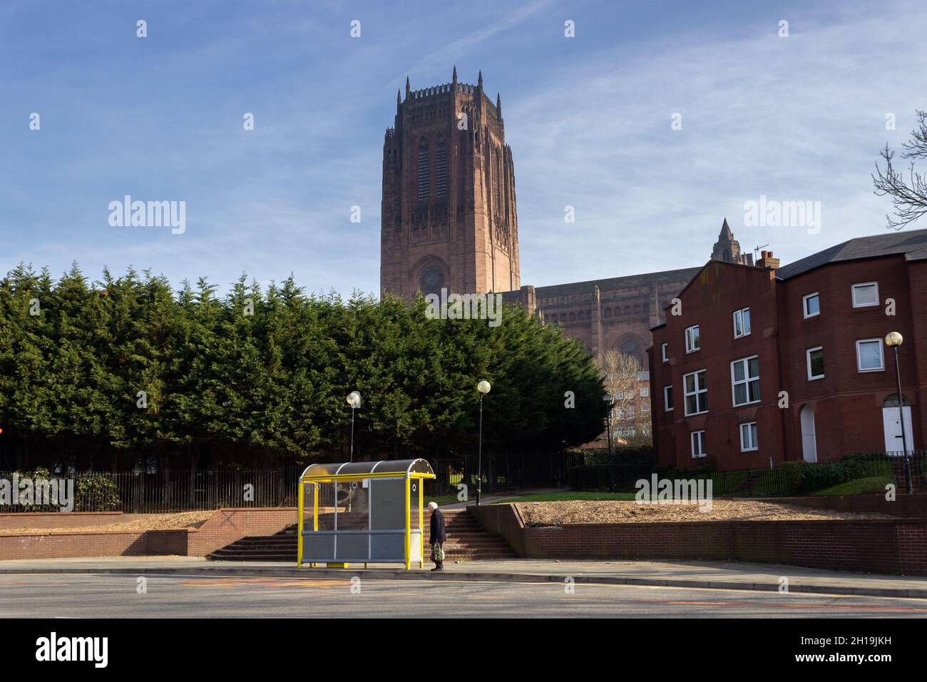 Liverpool, UK - Febbraio 23 2019: Grande George Street bus rifugio con la cattedrale anglicana in background. Foto Stock