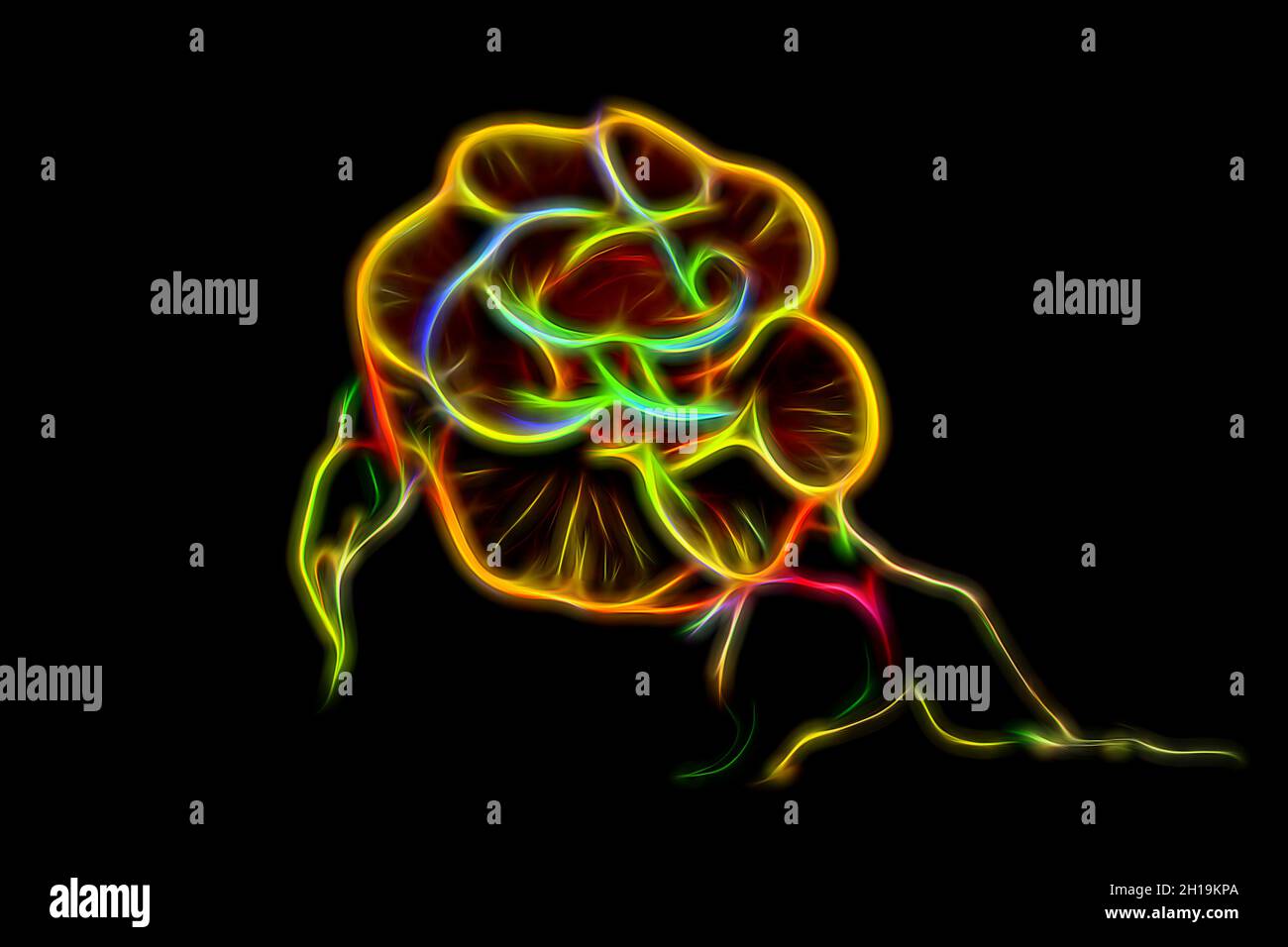 neon giallo frattale rosa su sfondo nero. Foto Stock