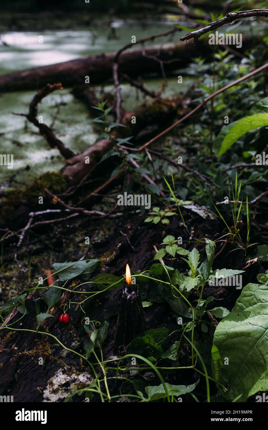 Concetto occulto, esoterico, divinazione e wicca. Halloween sfondo vintage Foto Stock