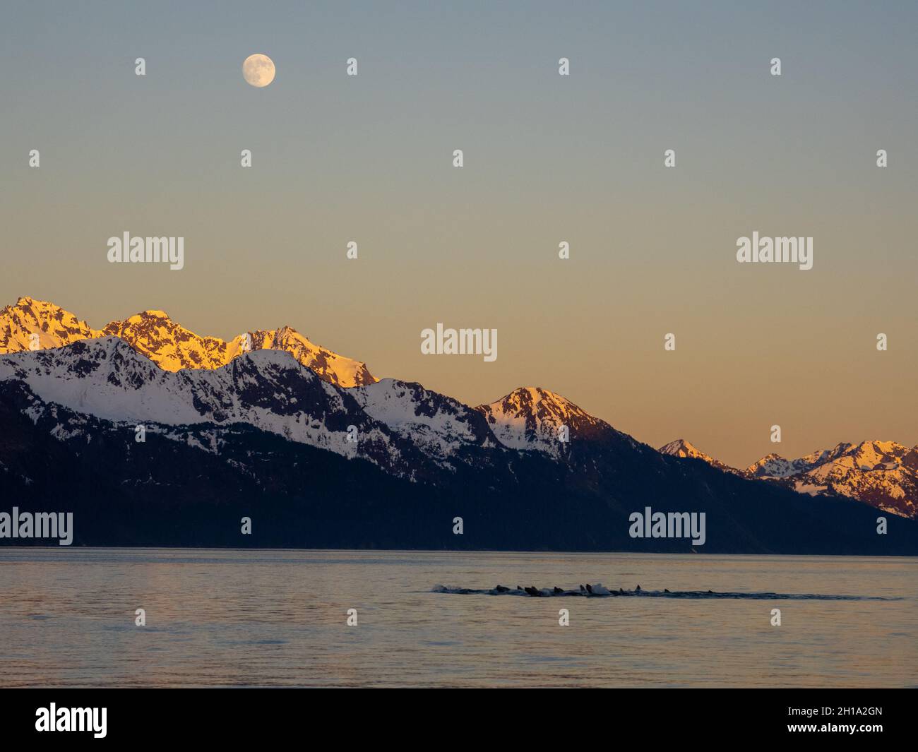 Luna piena su Resurrection Bay, Seward, Alaska. Foto Stock