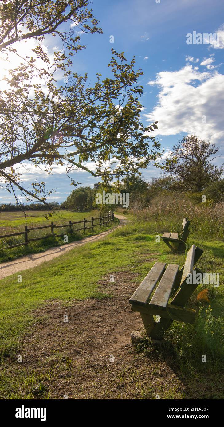 Un colpo verticale del parco Aiguamolls de l'Emporda in Spagna in una giornata di sole Foto Stock