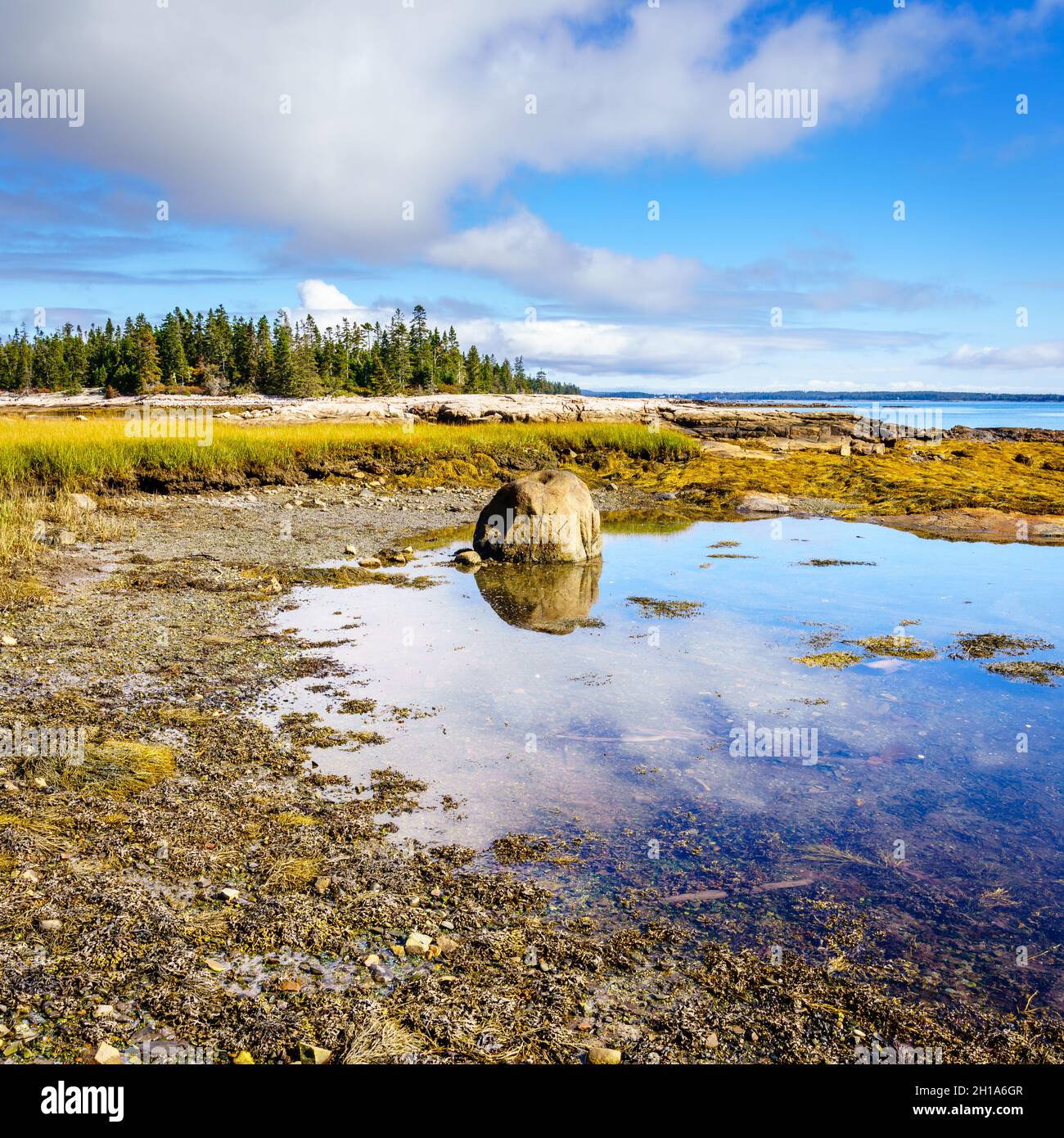 Bassa marea sulla costa atlantica del Parco Nazionale di Acadia nel Maine Foto Stock