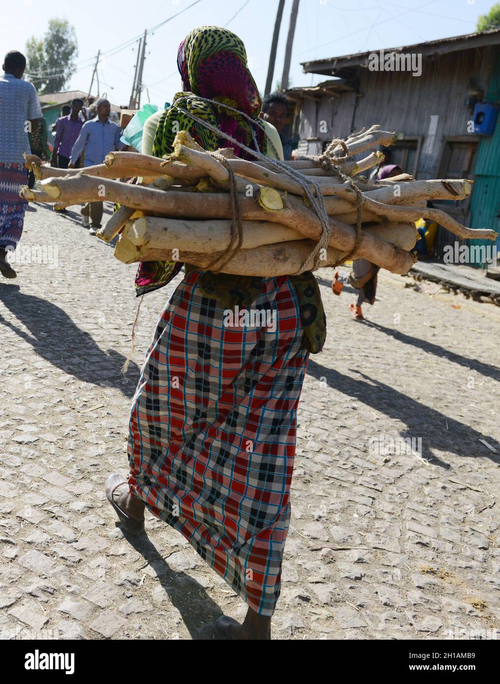 Una donna di Oromo che porta legno sulla schiena al mercato settimanale Baati in Etiopia. Foto Stock