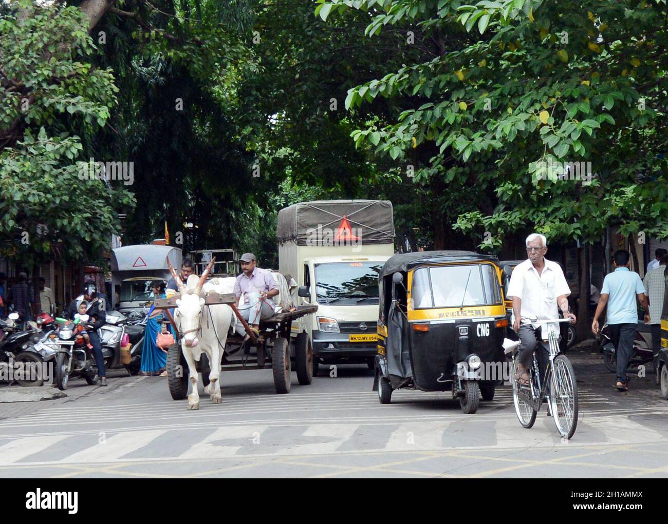 Un carrello Bullock nel centro di Pune, India. Foto Stock