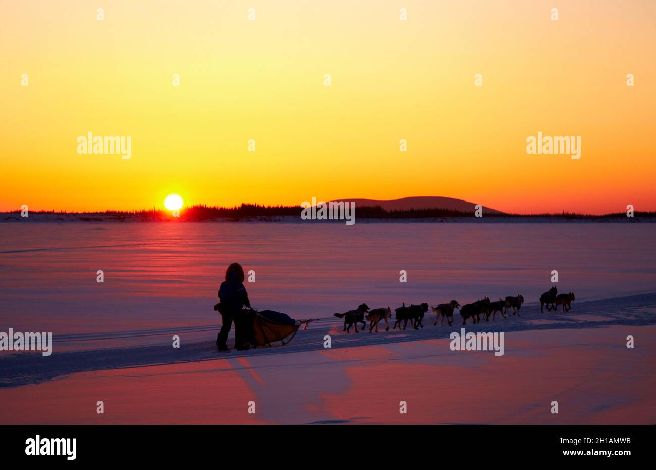 Tramonto sulla corsa di slitte trainate da cani Iditarod, Yukon River, Galena, Alaska Foto Stock