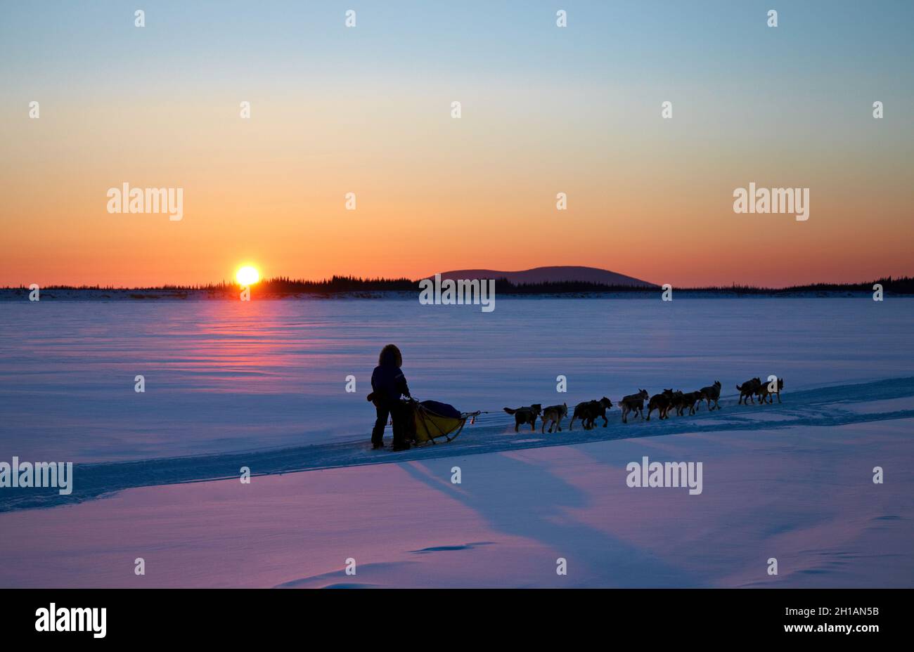 Tramonto sulla corsa di slitte trainate da cani Iditarod, Yukon River, Galena, Alaska Foto Stock