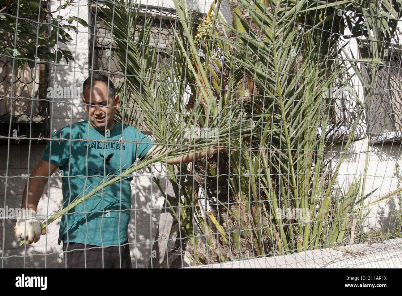 Nablus, Palestina. 17 ottobre 2021. Un membro della setta samaritana tiene le palme durante i preparativi per la Festa del Trono conosciuta come Sikka. I samaritani si preparano per la festa del Trono, conosciuta come Sikka, sul monte Gerizim nella città di Nablus, in Cisgiordania. La setta samaritana è considerata la più piccola denominazione del mondo, con 800 membri. Credit: SOPA Images Limited/Alamy Live News Foto Stock