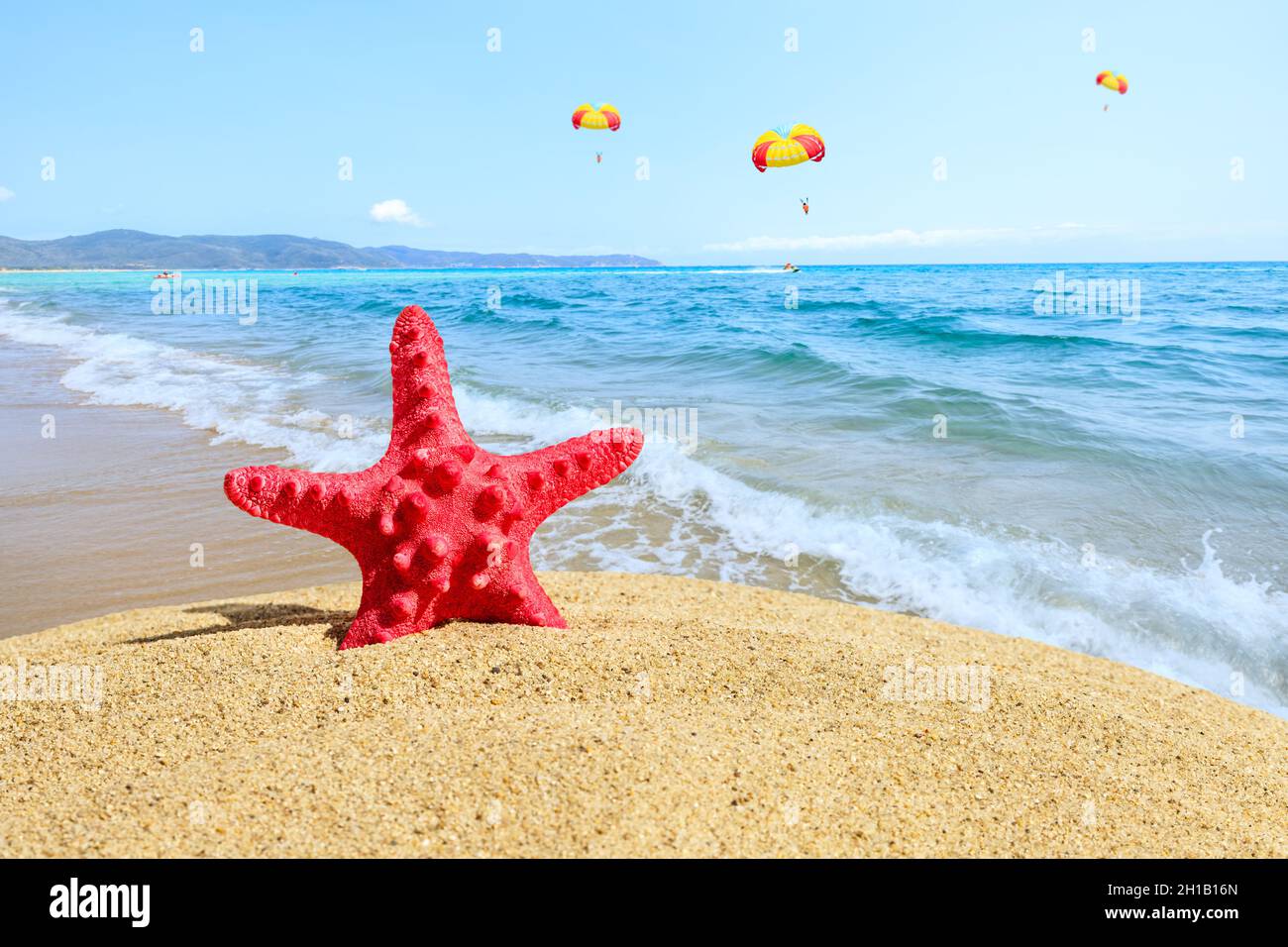 Spiaggia tropicale con stelle marine sulla sabbia, vacanze estive background.Travel e vacanza in spiaggia. Foto Stock