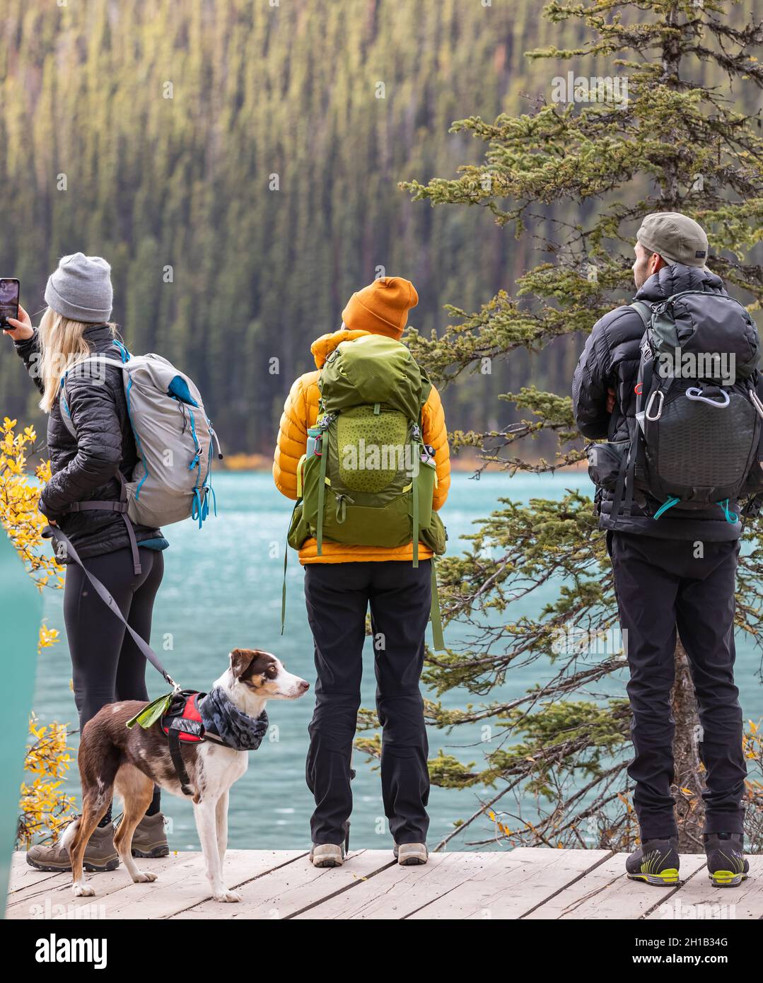 Gruppo di backpackers con escursioni con cani in alta montagna presso il lago nel Parco Nazionale di Banff. Foto di viaggio, vista sulla strada, messa a fuoco selettiva, concept photo t Foto Stock