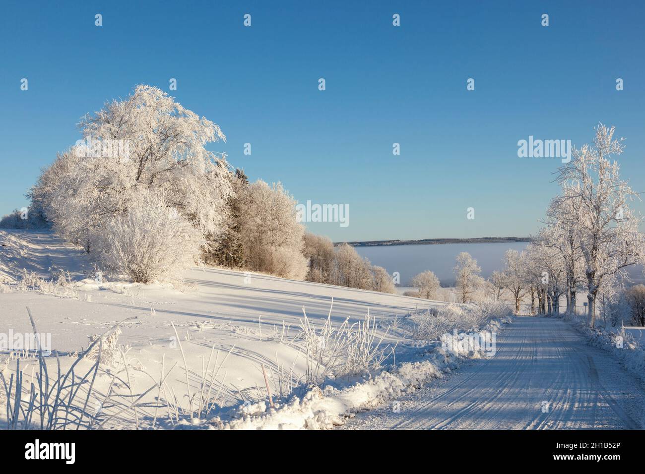 Strada di campagna nel paesaggio invernale Foto Stock