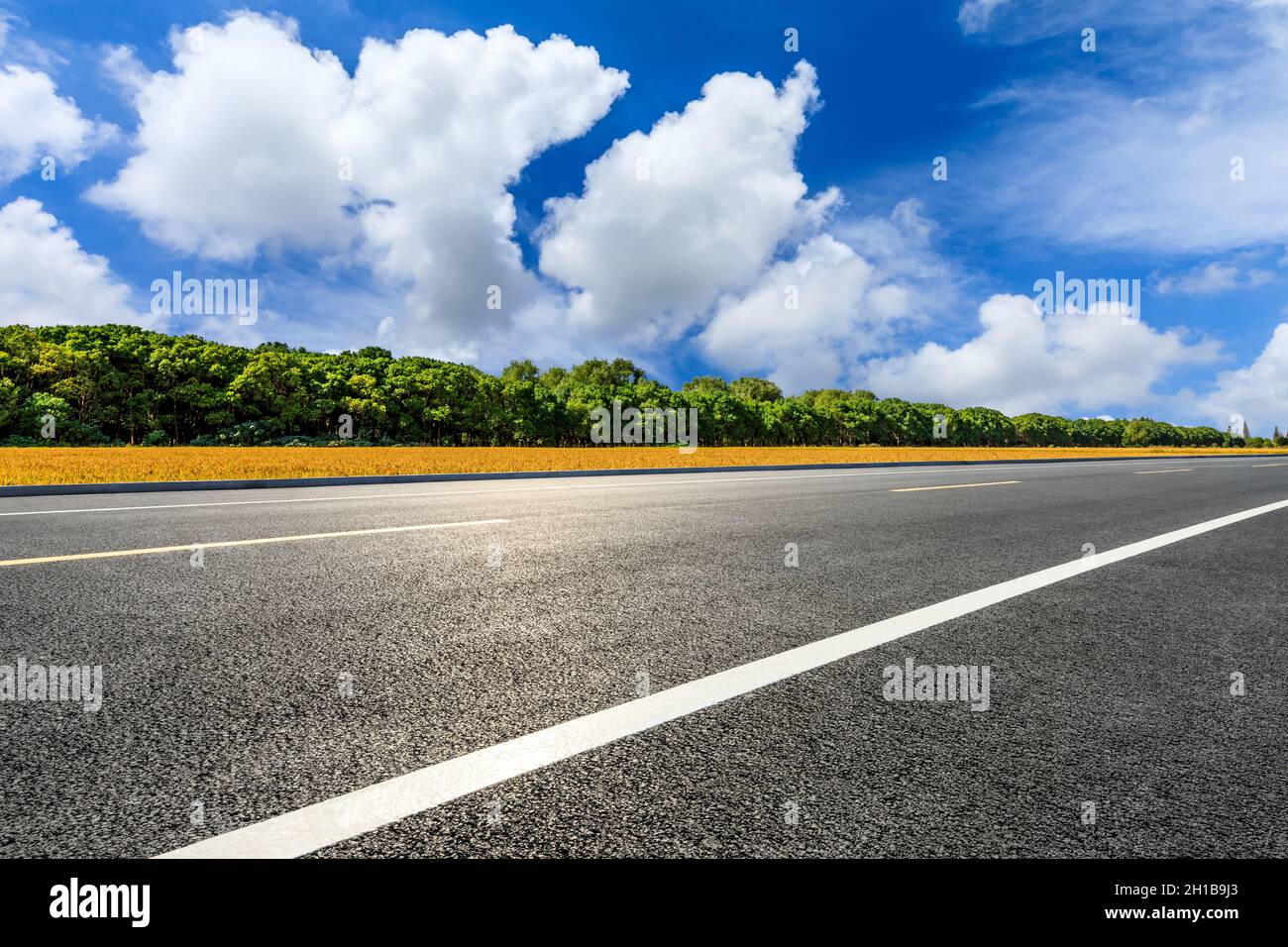 Strada asfaltata vuota e paesaggio campi di grano maturo. Foto Stock