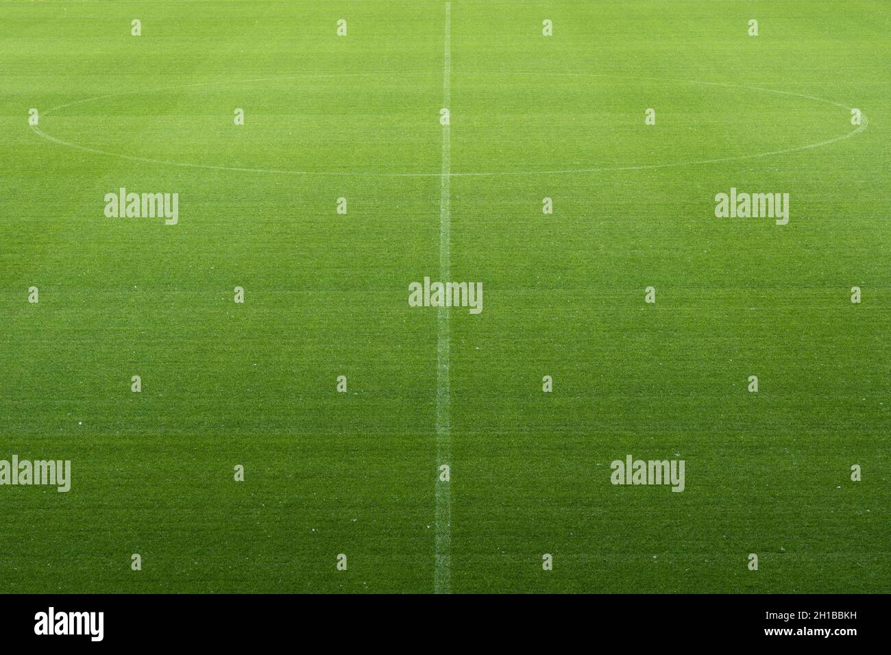 Vista al centro del campo da calcio con vernice bianca sbiadita, campo da calcio con sfondo verde erba tagliata sport tema Foto Stock