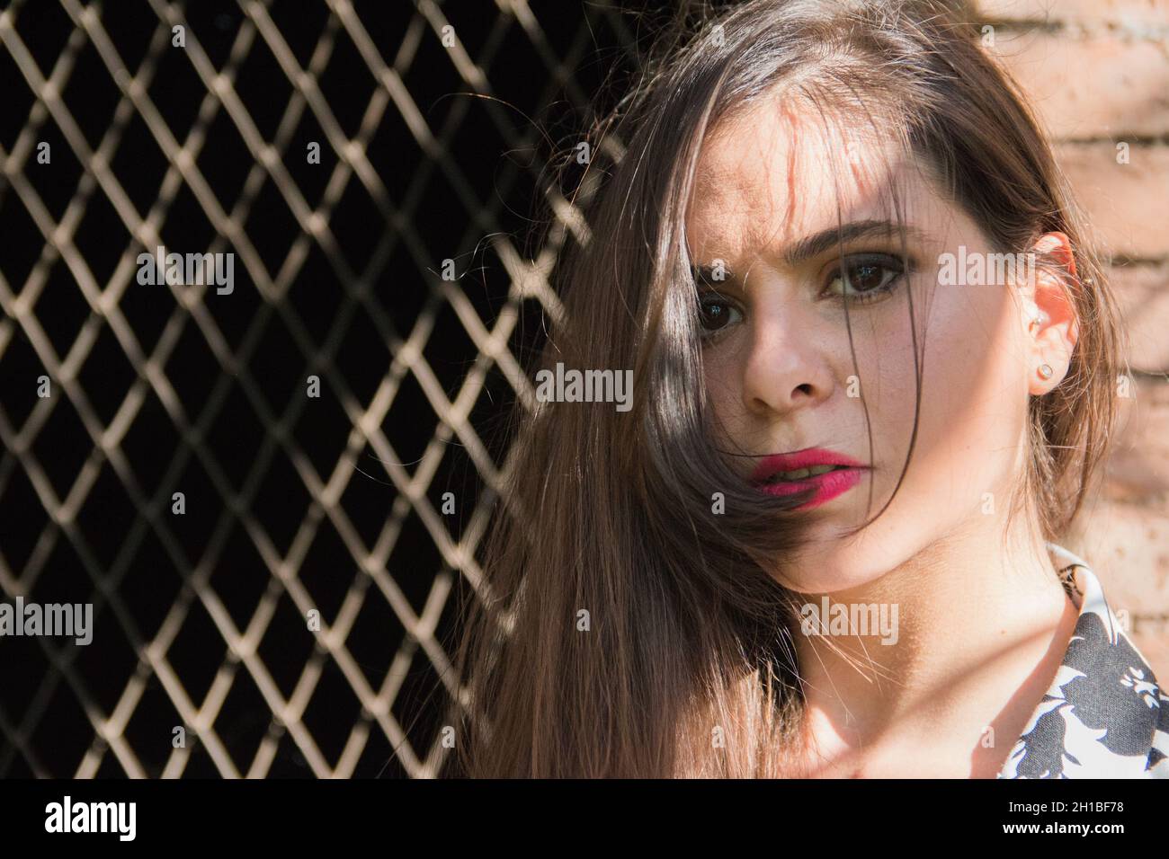 Closeup shot di una femmina argentina posata su un muro di mattoni e sfondo del vento Foto Stock