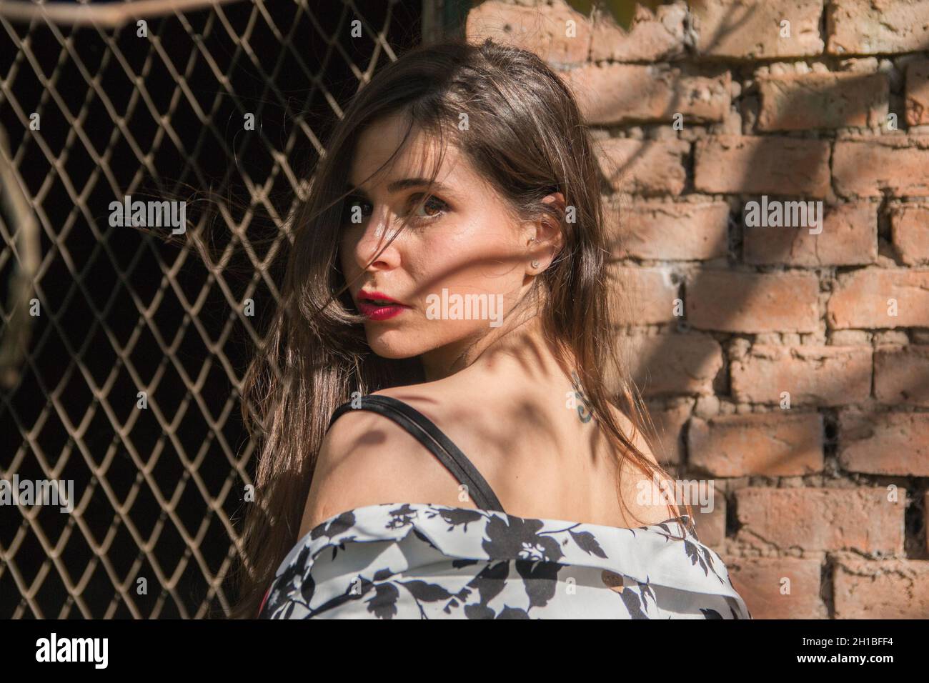 Closeup shot di una femmina argentina posata su uno sfondo muro di mattoni Foto Stock