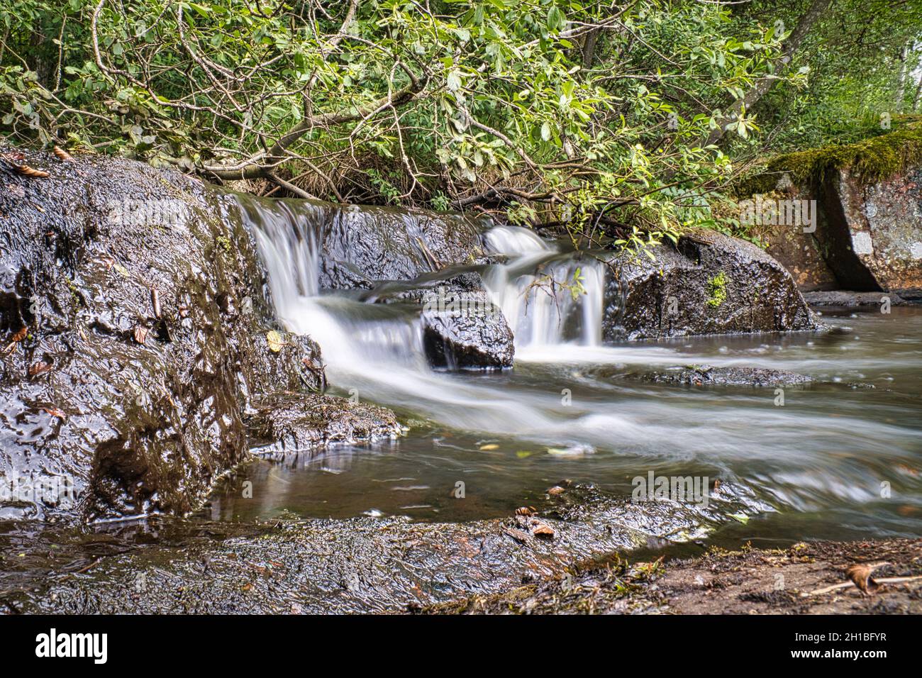 ruscelli svedesi, fiumi con piccole e grandi cascate nella natura incontaminata. ricreazione, avventura e un sacco di relax in una natura incomparabile. Foto Stock