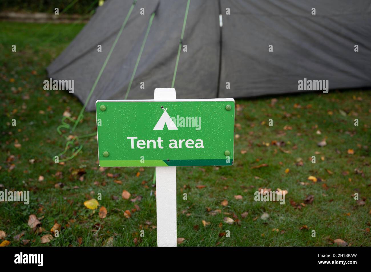 Cartello verde e bianco per l'area della tenda con testo e icona. Sfondo sfocato di tenda, e erba con foglie d'autunno. Gocce di pioggia sul cartello. Nessuna gente. Foto Stock