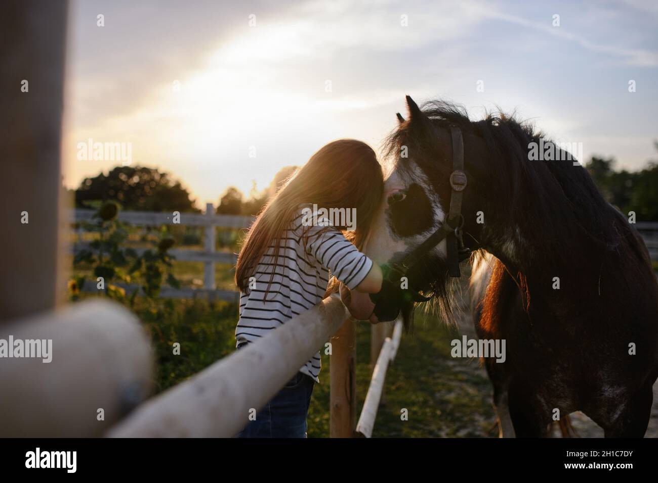 Bambina che abbraccia il cavallo all'aperto nella fattoria della comunità. Foto Stock