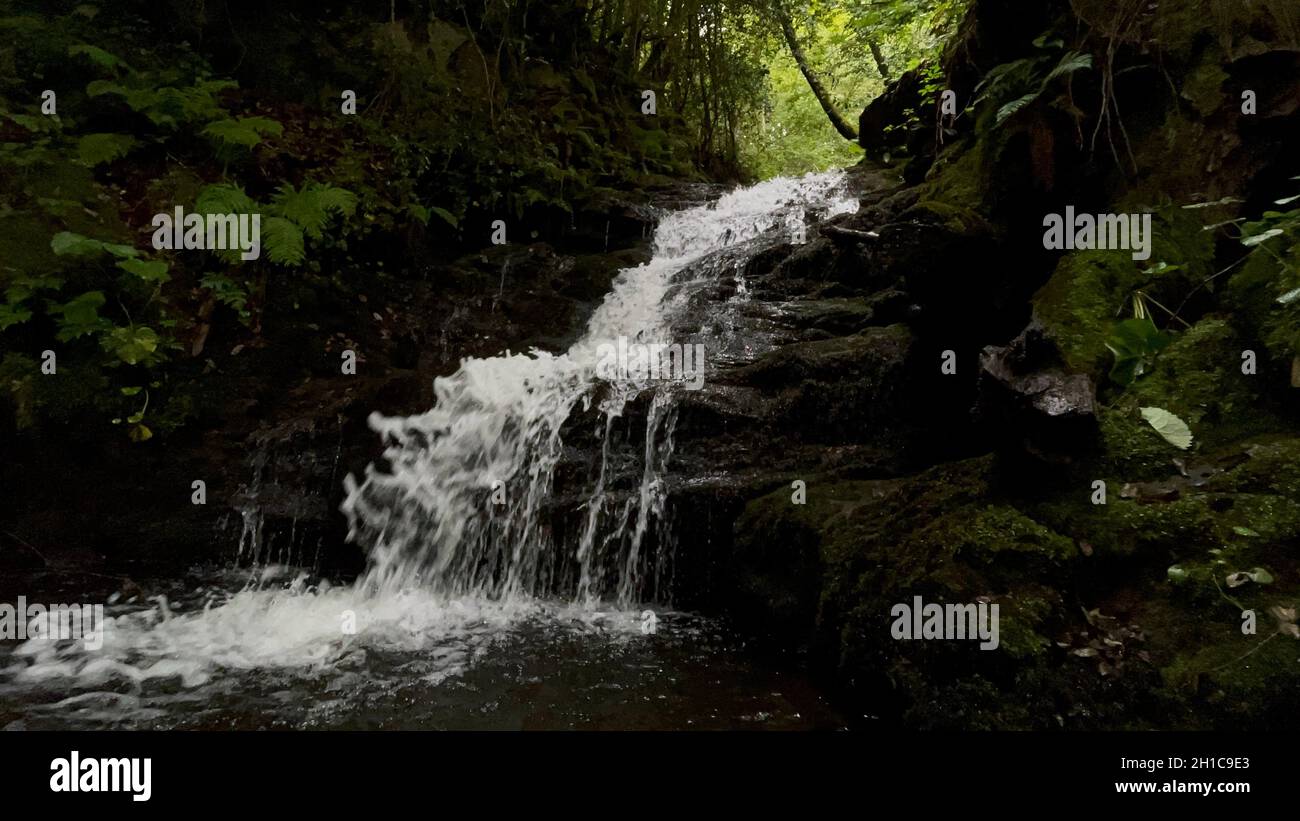 Cascata naturale nel mezzo della natura nel nord della Spagna. Foto Stock