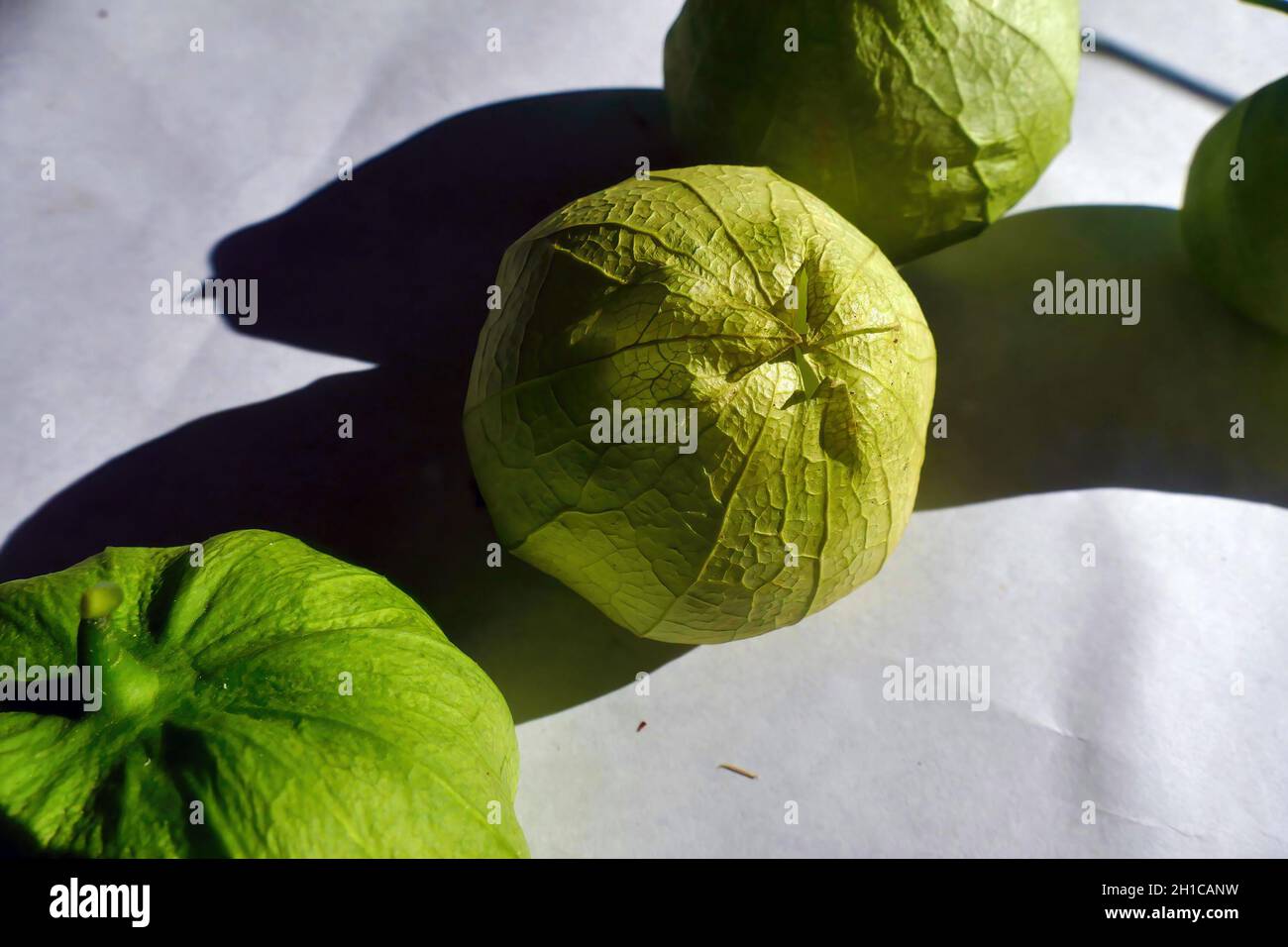 I tomatillos biologici freschi e maturi verdi sono noti anche come pomodori messicani con buccia su un tavolo bianco Foto Stock