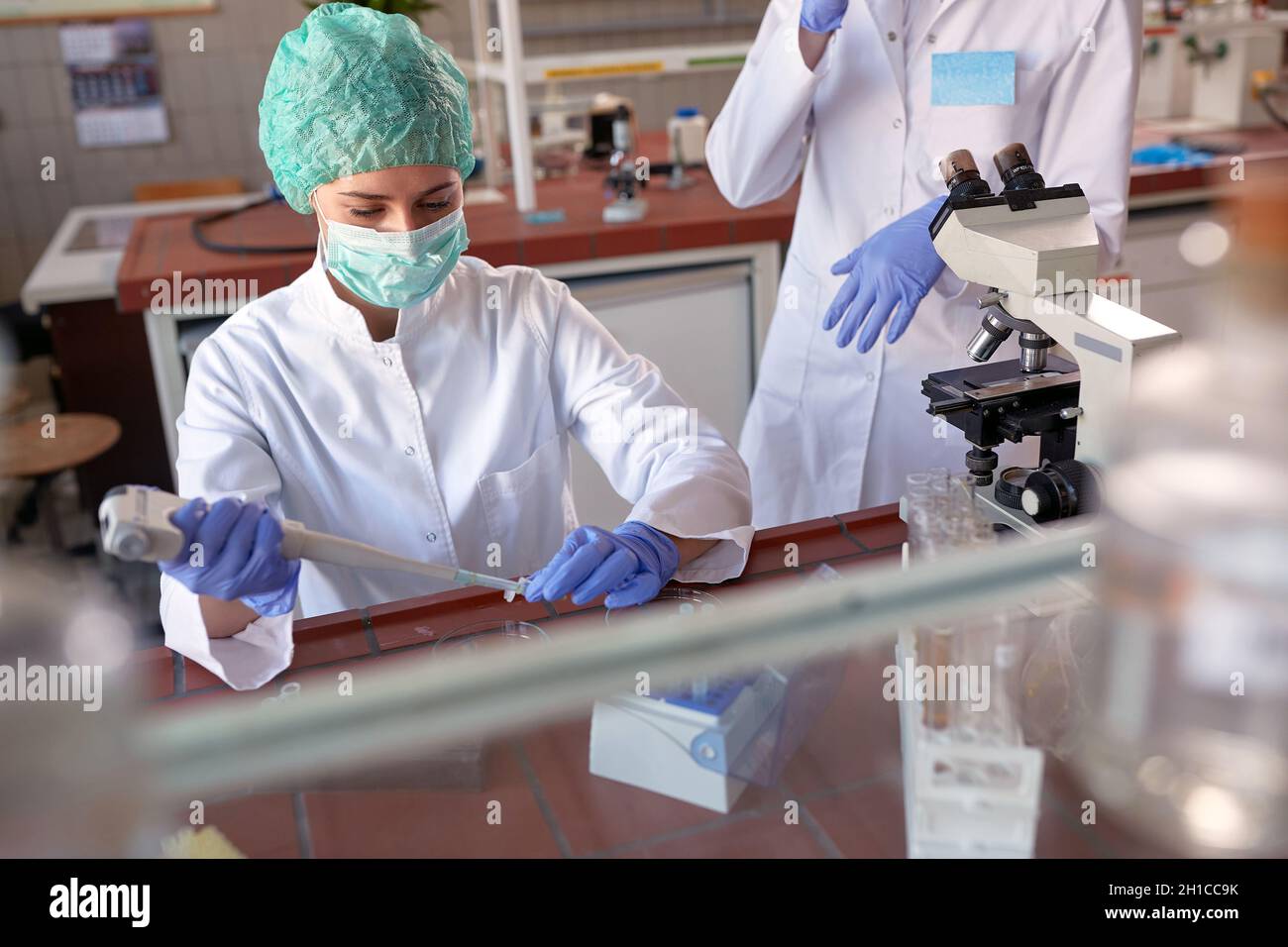 Operatore di laboratorio con pipetta automatica che pone il campione di prova su una prova in vetro Foto Stock