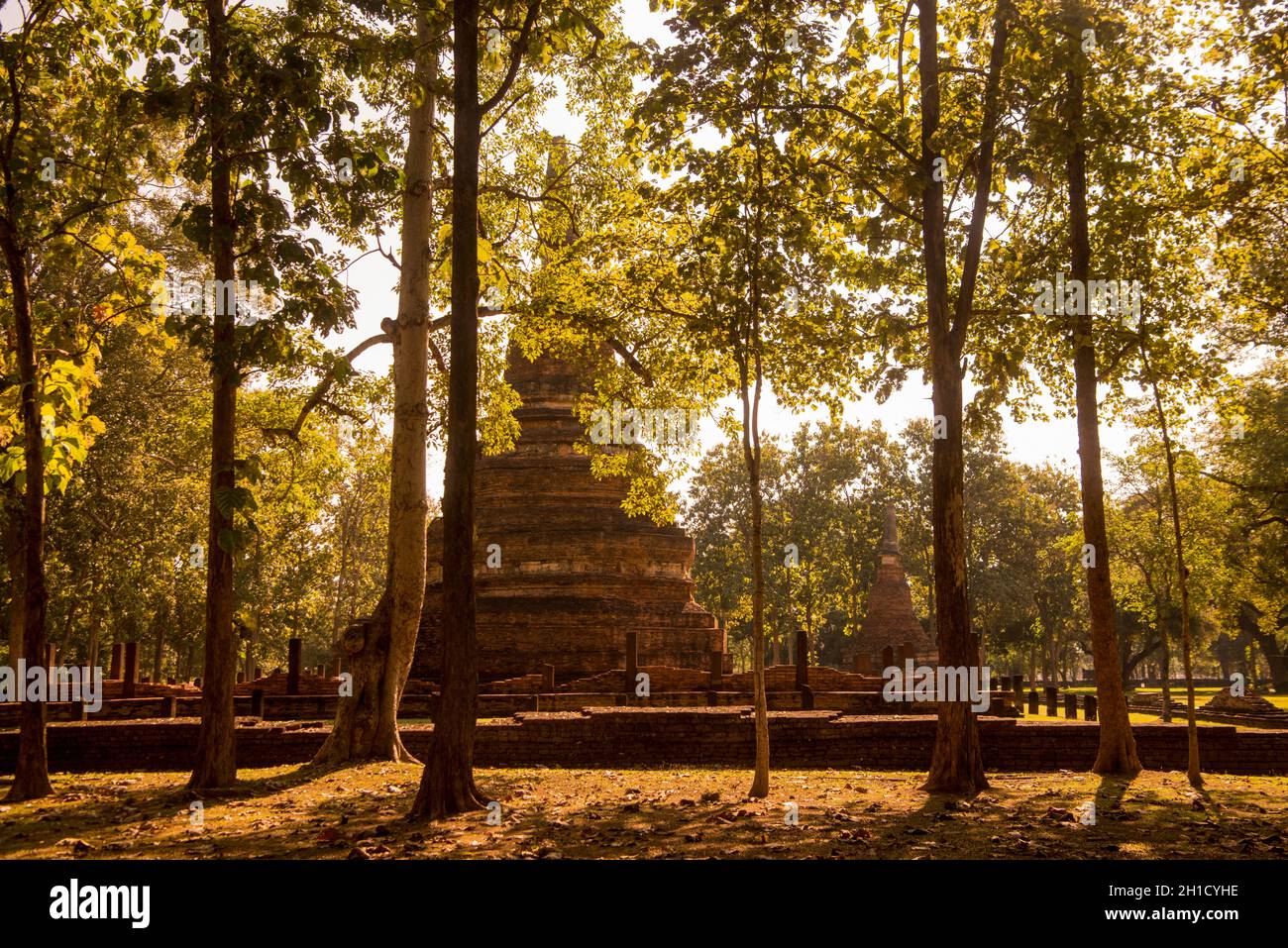 Le rovine del Wat Phra Kaeo nel Parco storico della città di Kamphaeng Phet nella provincia di Kamphaeng Phet nella Thailandia del Nord. Tailandia, K. Foto Stock