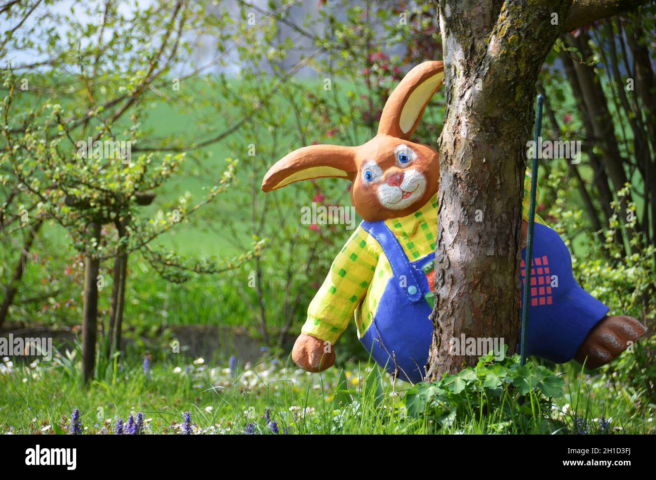 Osterhase auf einer Frühlingswiese - Der Osterhase ist ein österliches Symbol - coniglietto pasquale su un prato primaverile - il coniglietto pasquale è un simbolo pasquale Foto Stock