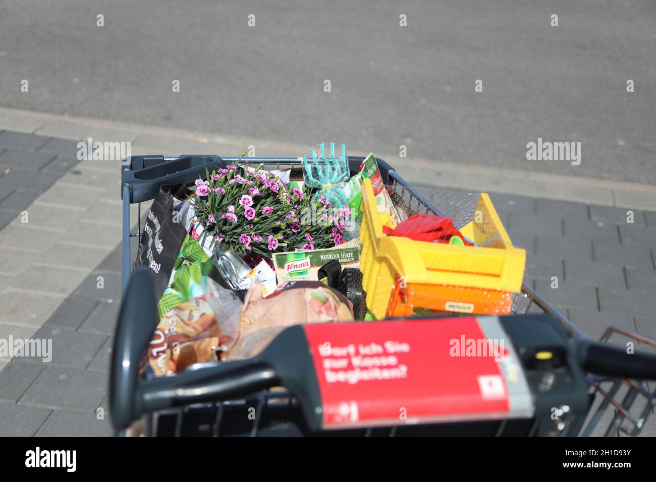 Voller Einkaufswagen vor dem Discounter Kaufland, mit Lebensmittel, Blumen und Spielsachen, Themenbild - Handel - Wirtschaft - Industrie Foto Stock