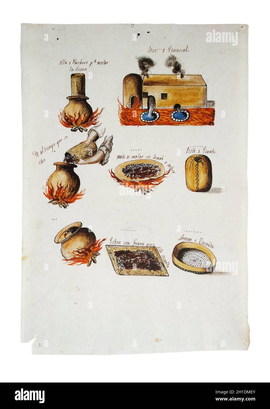 Produzione coccineale in Messico, 1821. Illustrazione del processo. Archivio Generale delle Indie, Siviglia, Spagna Foto Stock