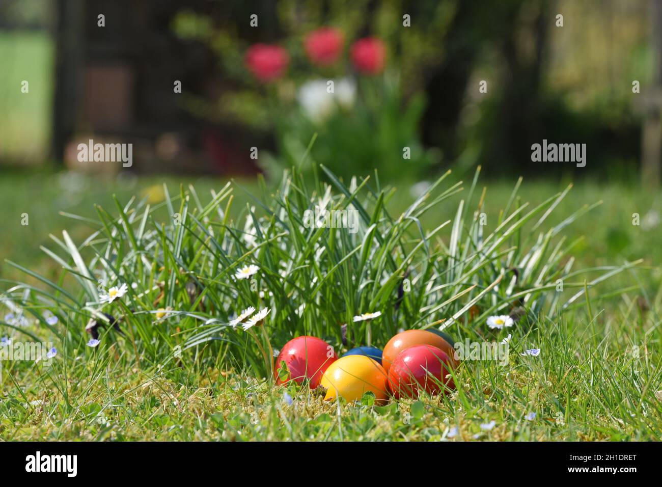 Das Verschenken von Ostereiern zum Osterfest ist ein weit verbreiteter Brauch. Die Tradition vom Eierfärben geht bis ins Mittelalter Zurück. - dare Foto Stock