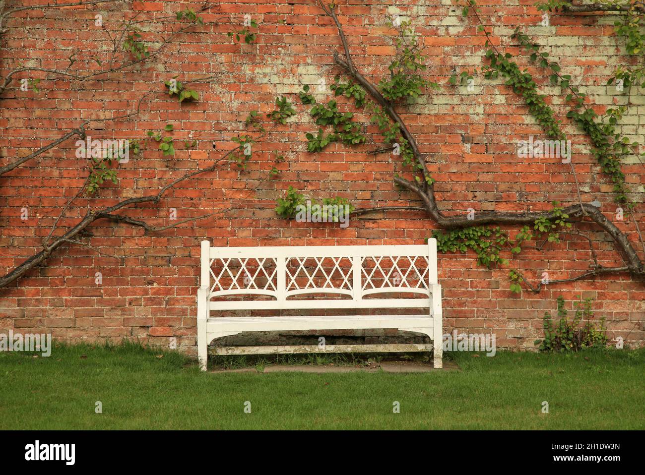 Panca bianca in un giardino murato inglese. Foto Stock