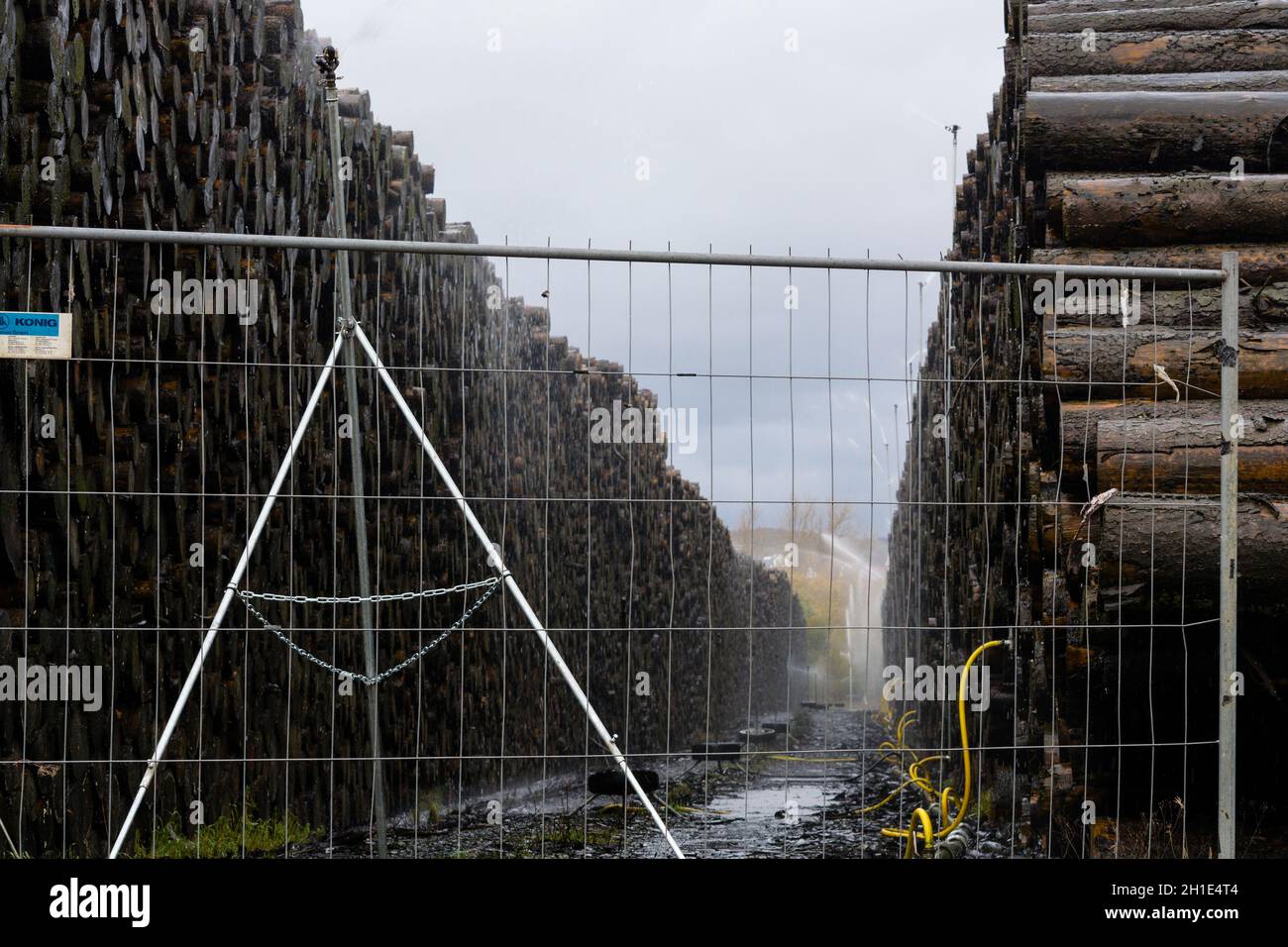 BAD WILDUNGEN, HESSEN, GERMANIA - OKTOBER 30, 2018: Bad Wildungen, Hessen, Germania - Oktober 30, 2018: Legno impilato all'aperto. Concetto di industria forestale e. Foto Stock