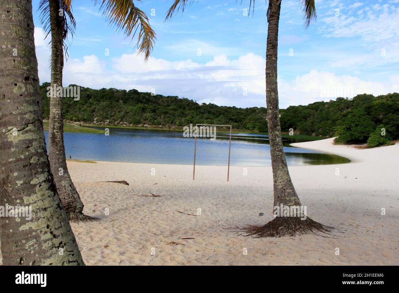 salvador, bahia / brasile - 7 settembre 2013: Gli alberi di cocco sono visti nelle due sabbie che circondano Lagoa do Abaete nella città di Salvador. *** locale Foto Stock