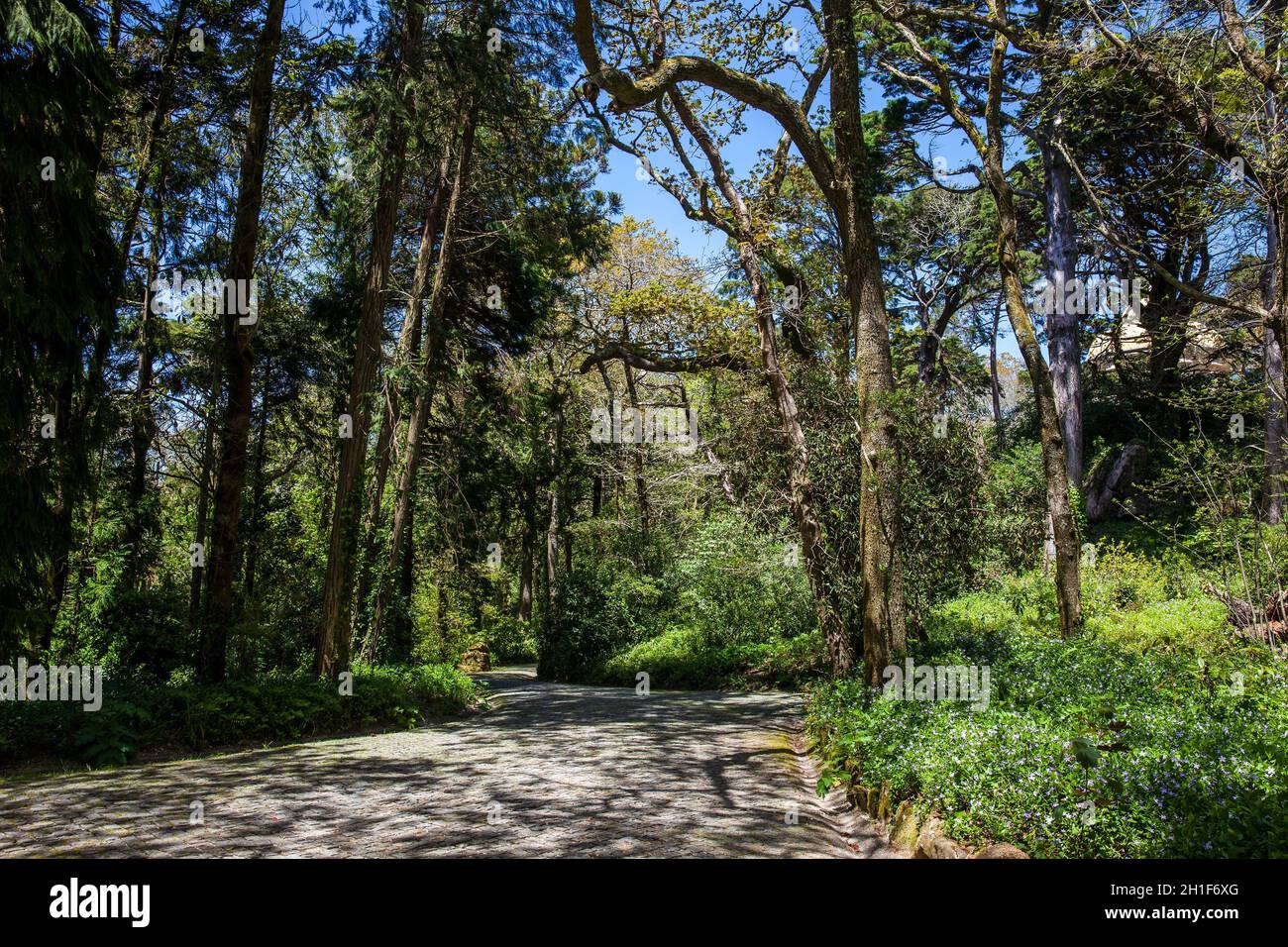 Giardini di Pena parco presso il comune di Sintra Foto Stock