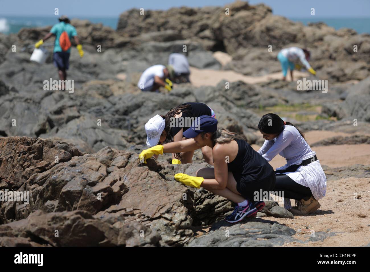 salvador, bahia / brasile - 13 ottobre 2019: I volontari ripuliscono l'olio a Jardim de Allah Beach, il sito è stato colpito da fuoriuscite di olio in mare. *** locale Foto Stock