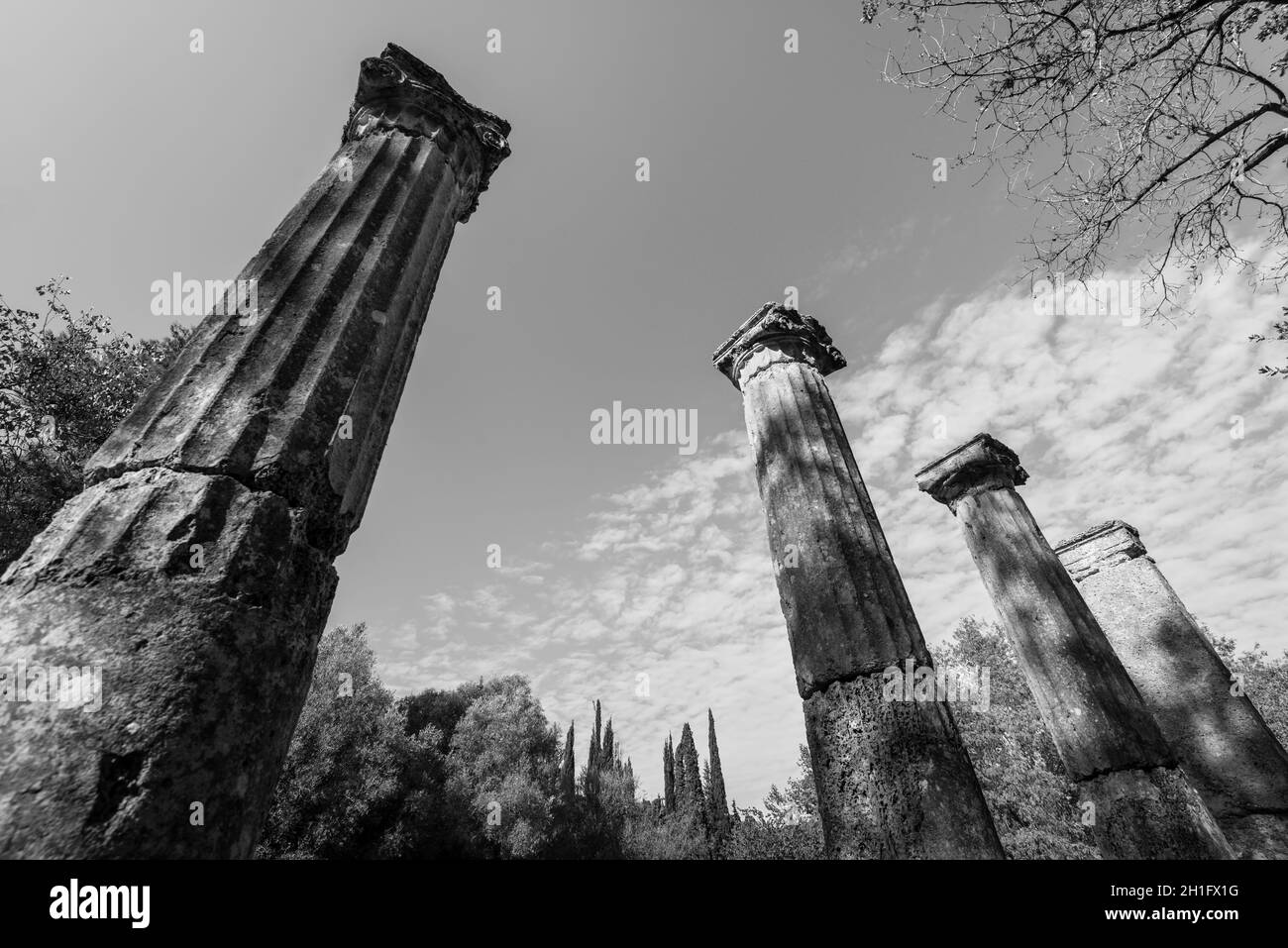 I resti di un patrimonio architettonico di colonne nel sito archeologico di Olimpia nel Peloponneso Grecia. La fotografia in bianco e nero. Foto Stock