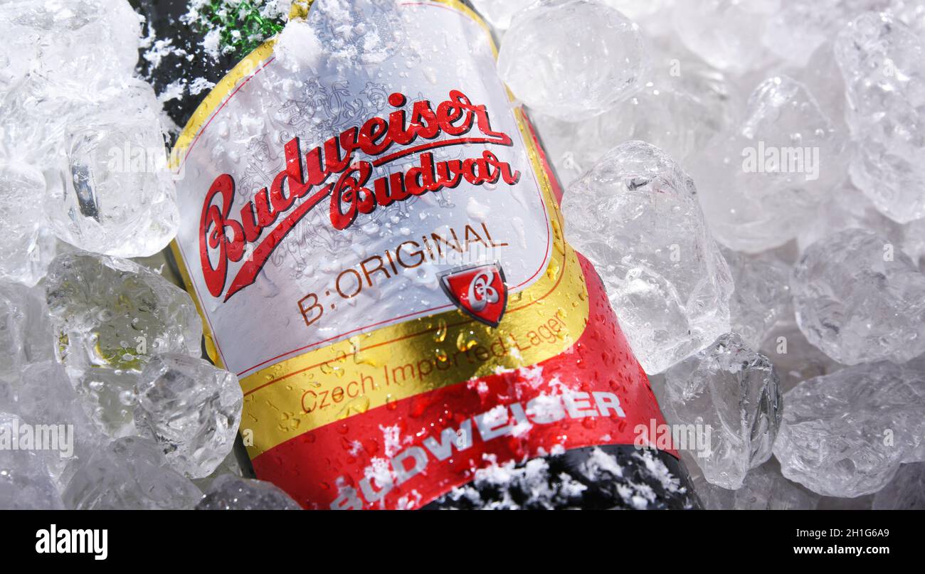 POZNAN, POL - 10 GIU 2020: Bottiglia di Budweiser Budvar, una delle birre più vendute nella Repubblica Ceca esportata in più di 60 paesi, produ Foto Stock