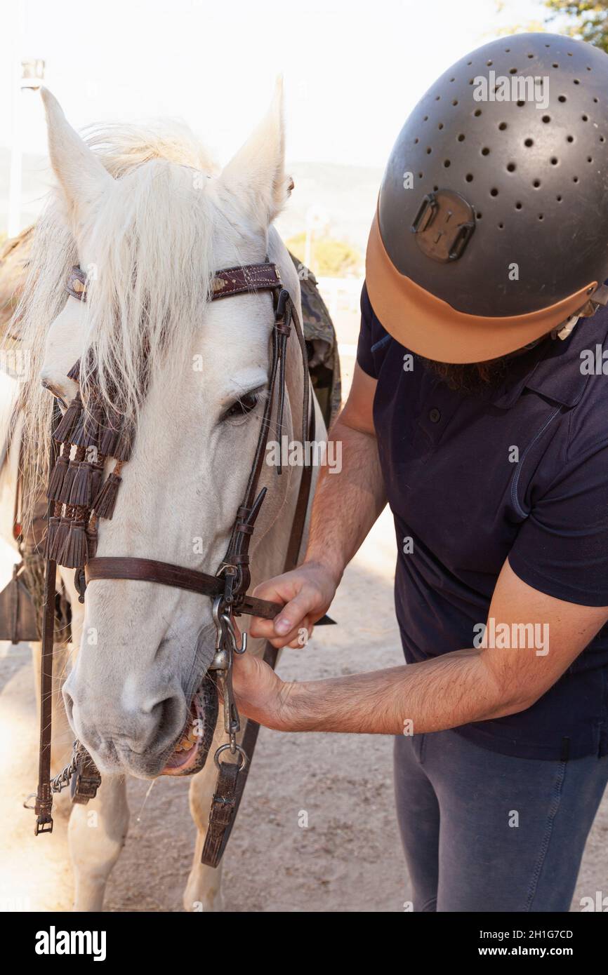 Un uomo caucasico irriconoscibile in un casco sta regolando le redini del suo cavallo bianco. Foto Stock