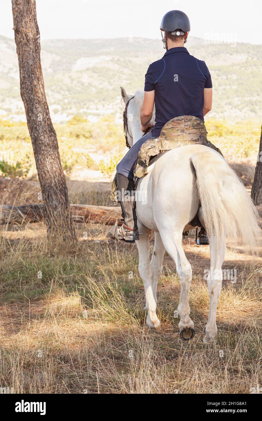 Visto dalla schiena, un cavaliere, un uomo caucasico, si vede cavalcare sul suo cavallo da panca e fare un giro tra alberi e tronchi attraverso la campagna. Foto Stock