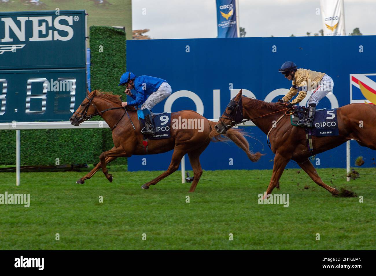 Ascot, Berkshire, Regno Unito. 16 ottobre 2021. Creative Force indescita dal jockey William Buick vince la QIPCO British Champions Sprint Stakes (Classe 1) (Gruppo 1) (British Champions Series) alla QIPCO British Champions Day alle gare di Ascot. Credit: Maureen McLean/Alamy Foto Stock