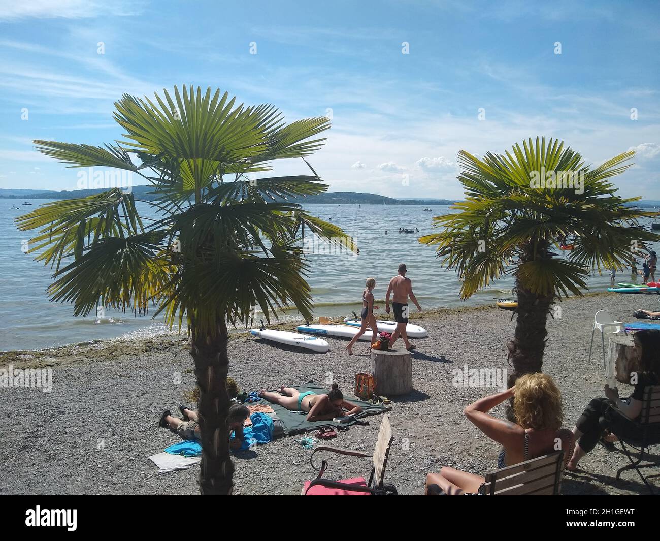 Entspannung unter Palmen - am Campingplatz Sandseele auf der Insel Reichenau wächst ein Hauch von Karibik-Stimmung - Bodensee - Urlaub in Deutschland Foto Stock