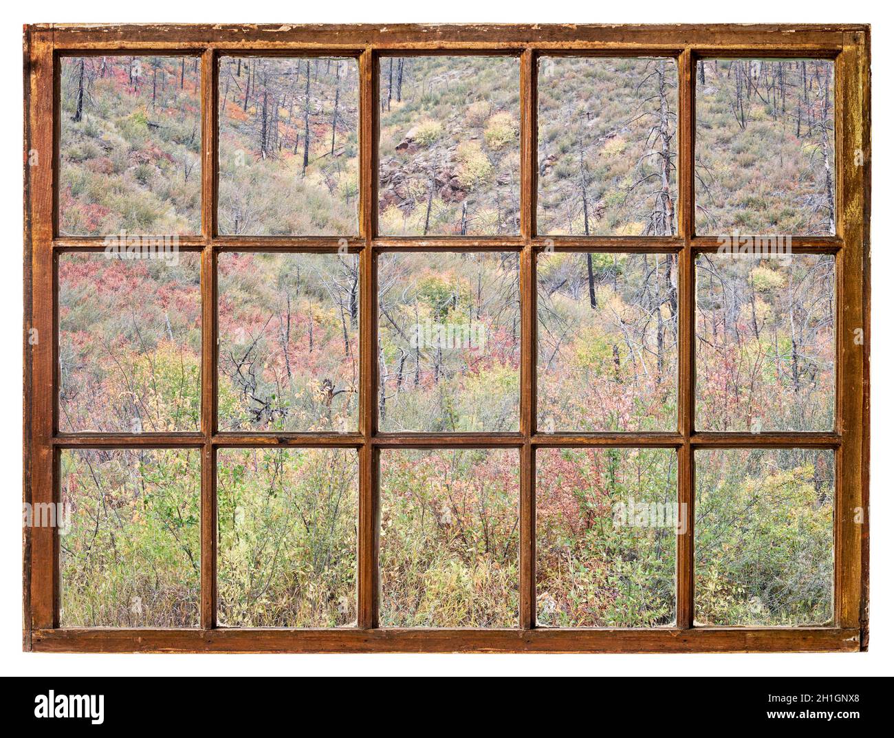 Arazzo di arbusti in colori autunnali e foresta bruciata sui pendii del Colorado settentrionale come visto da una finestra di cenere d'epoca Foto Stock