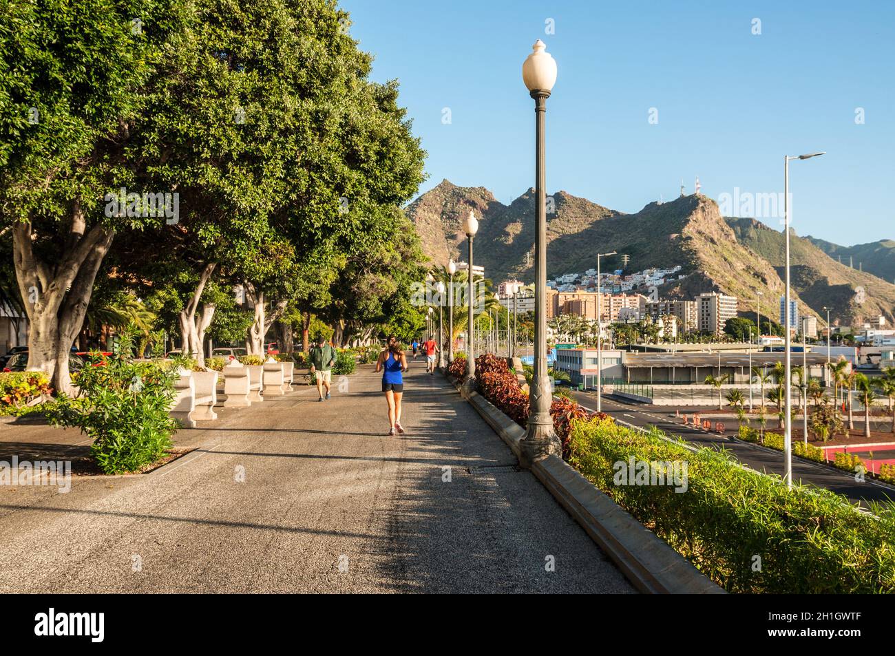 Santa Cruz de Tenerife, Isole Canarie, Spagna - Desember 11, 2016: le persone camminare e correre lungo il lungomare di Santa Cruz de Tenerife, Isole Canarie Foto Stock