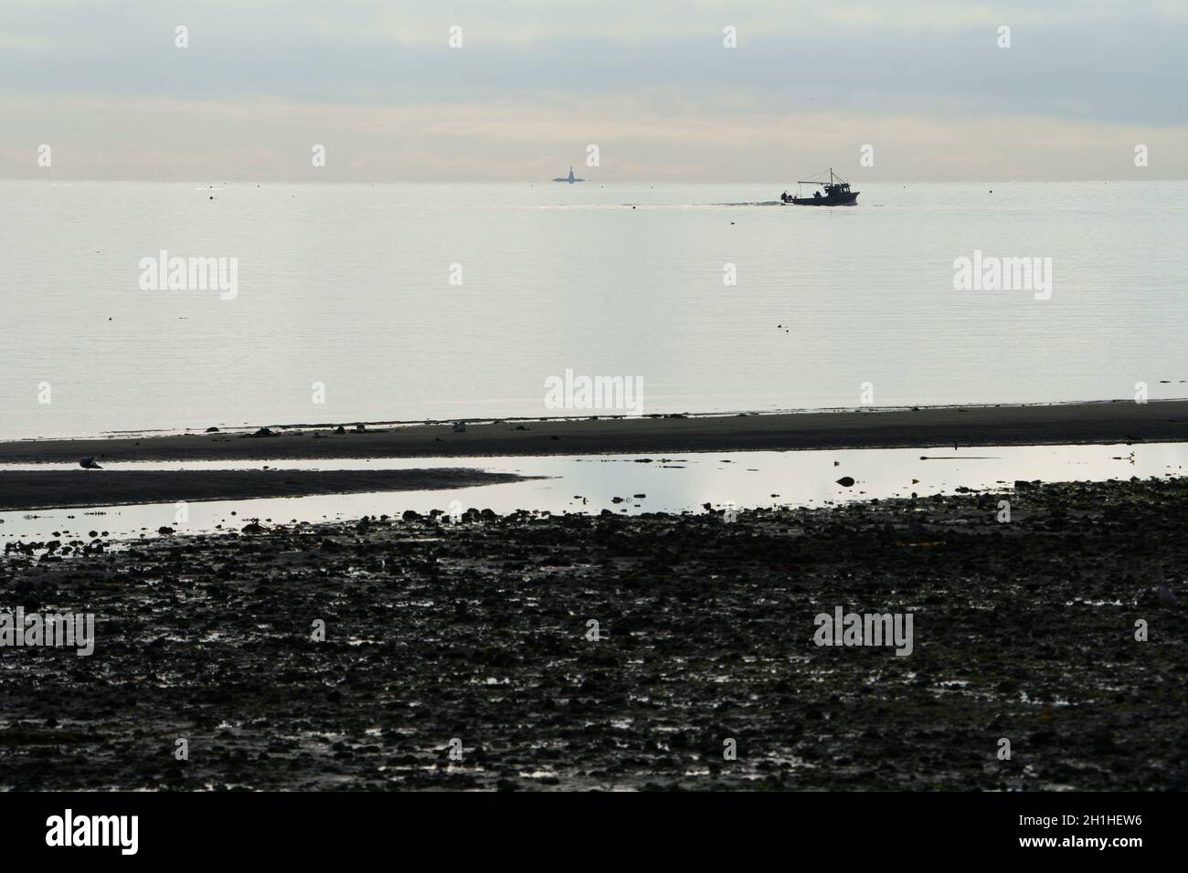 Nave da pesca commerciale con granchio che posa trappole in Haro Strait. Foto Stock