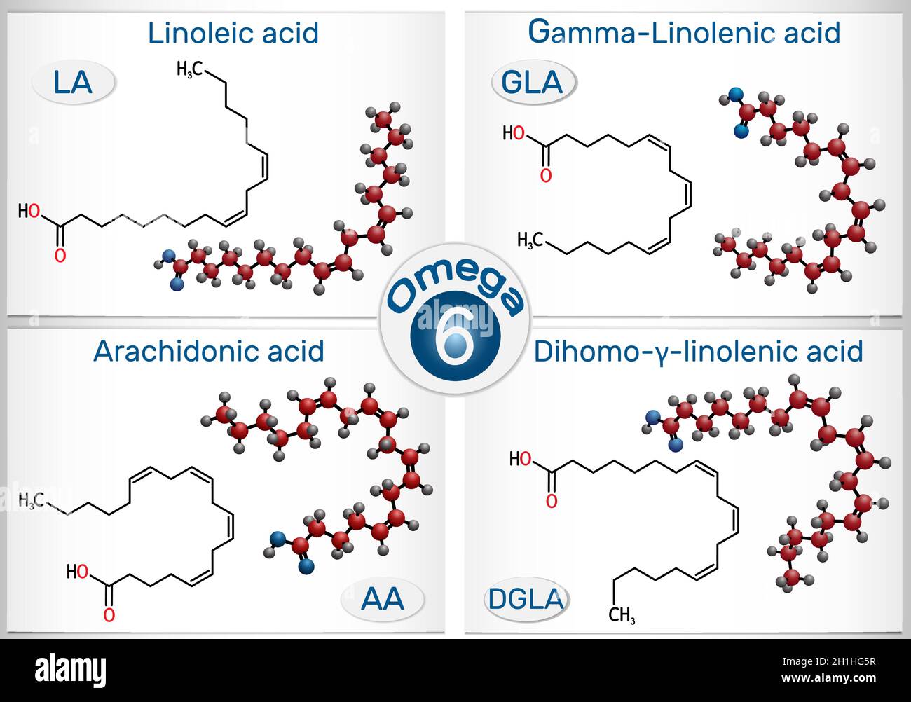 Omega-6, acidi grassi polinsaturi. Acido linoleico (LA), acido gamma-linolenico (GLA), acido arachidonico (AA, ARA), acido diomo-gamma-linolenico (DGLA). Illustrazione Vettoriale