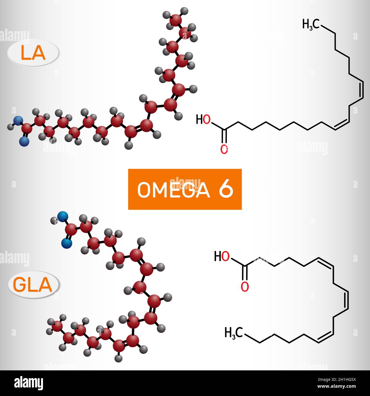 Omega-6, acidi grassi polinsaturi. Acido linoleico (LA), molecola di acido gamma-linolenico (GLA). Formula chimica strutturale e modello molecolare. Vettore Illustrazione Vettoriale