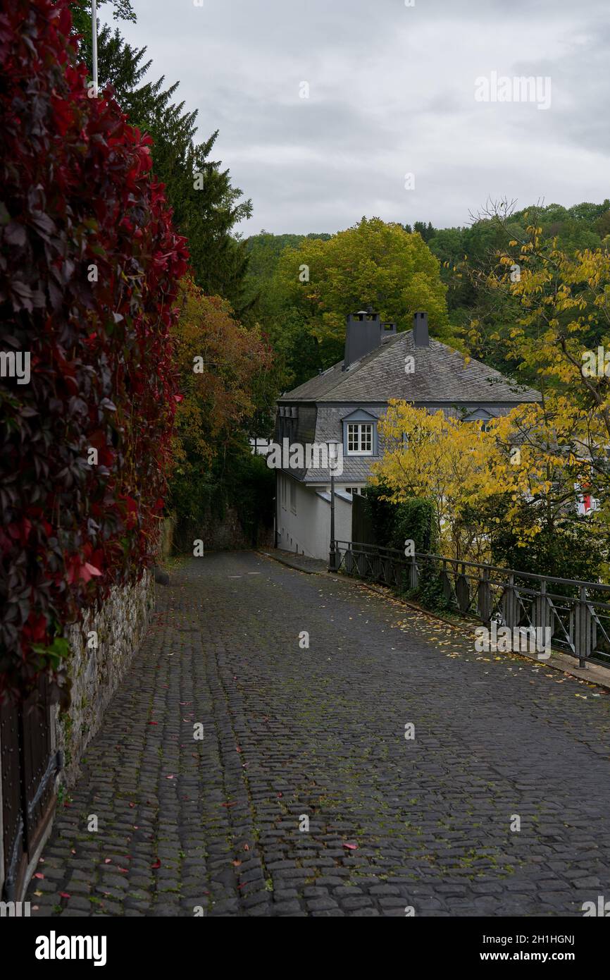 Vista dalla città tedesca chiamata Monschau in autunno Foto Stock