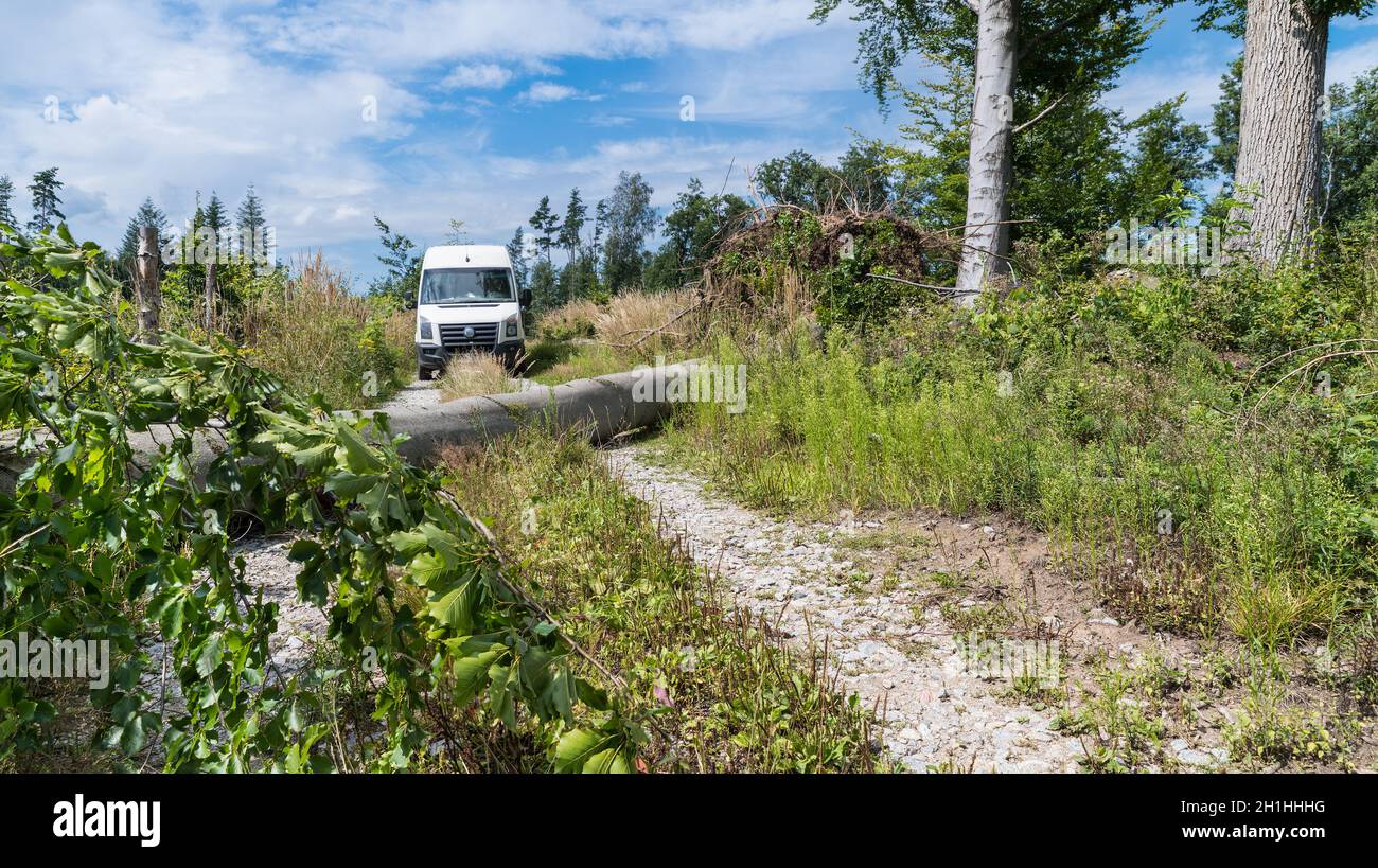 Auto furgone su strada sterrata impraticabile con tronco di faggio sdraiato caduto in una balla. Albero sradicato che blocca un modo di foresta con auto bianca natura disastro postumi. Foto Stock